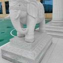 湖北 白麻花岗岩动物异形石雕-大象